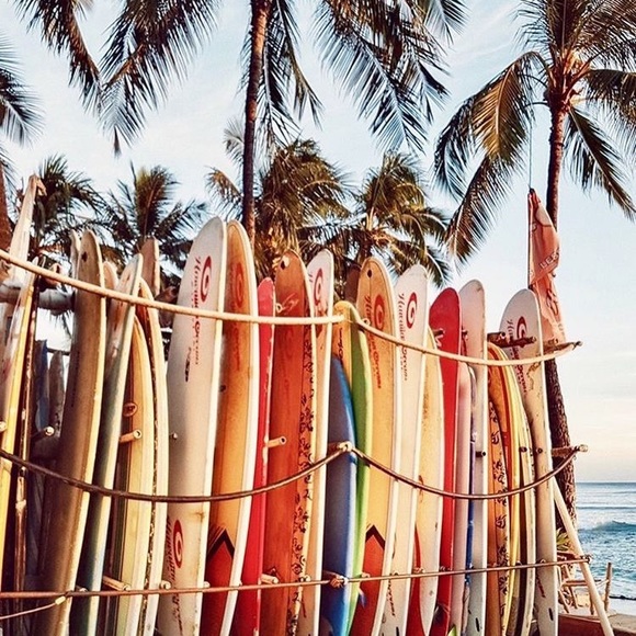 Meet your Posher - Picture 4 of 8